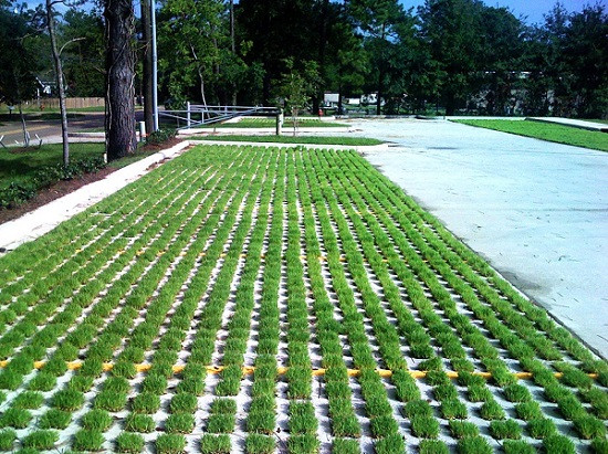 Báo giá gạch block trồng cỏ mới nhất 2023