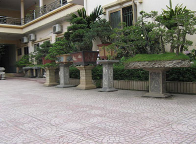 xu hướng trang trí sân vườn đẹp với gạch block, terrazzo